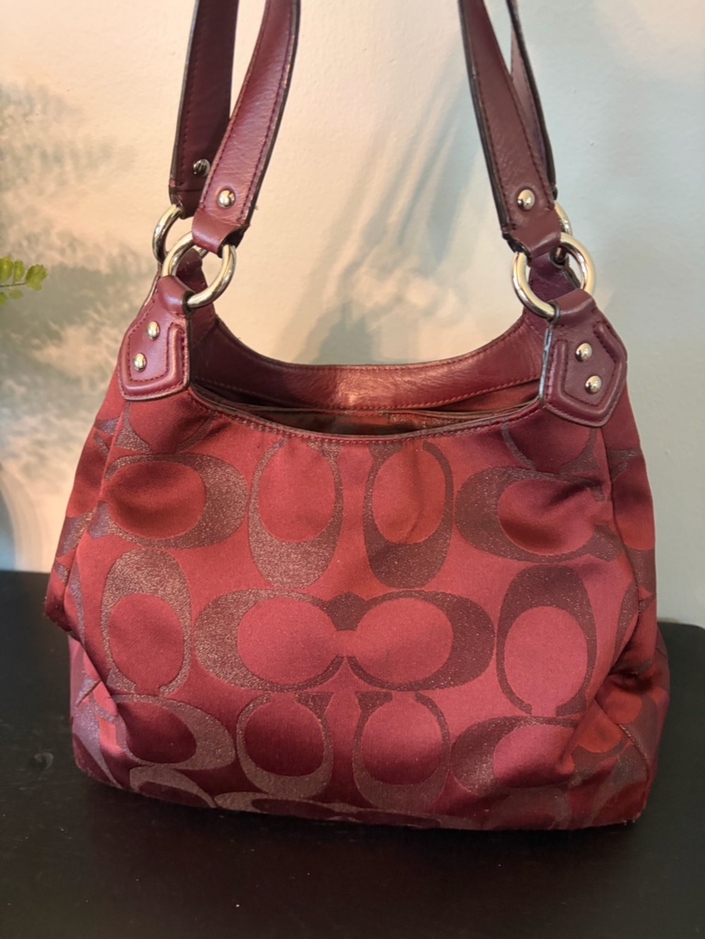 Coach Campbell Signature Hobo Bag - Picture 3 of 12